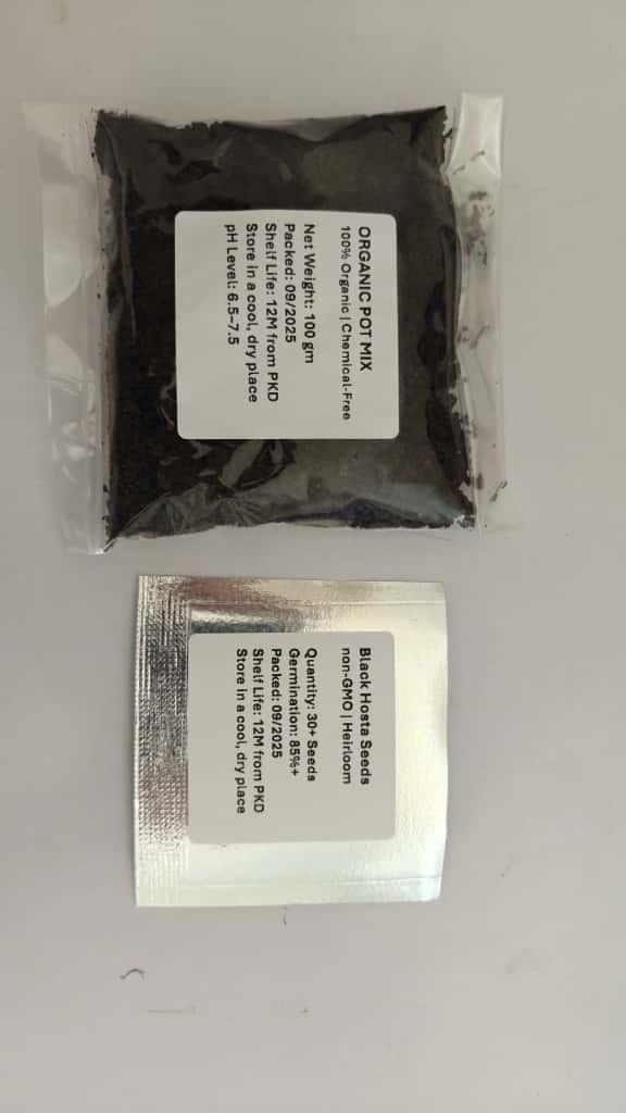 Black Hosta Seeds & Plant Growth Serum