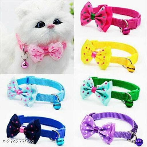 Nylon Collar Belt for Cat for (Multicolor, Pack of 2)